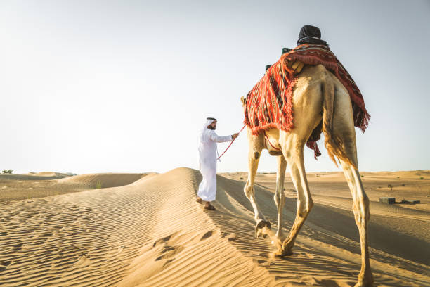 istock Arabian man with camel in the desert 1166640454