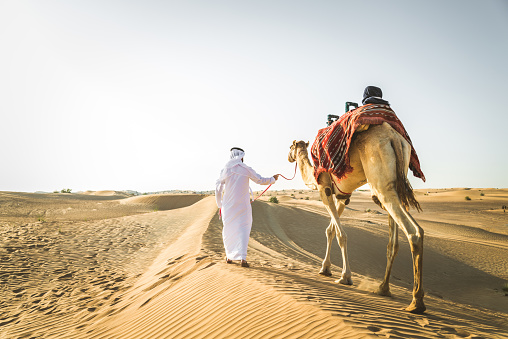 Hombre árabe con camello en el desierto photo