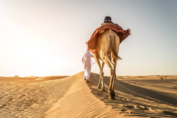 hombre árabe con camello en el desierto - camel ride fotografías e imágenes de stock