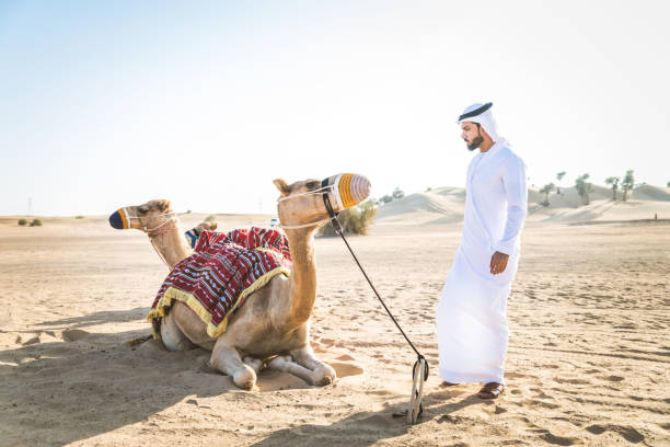 砂漠でラクダを持つアラビア人 - united arab emirates middle eastern ethnicity men camel ストックフォトと画像