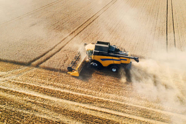 istock Harvester harvests wheat on a field - Aerial View 1166640612