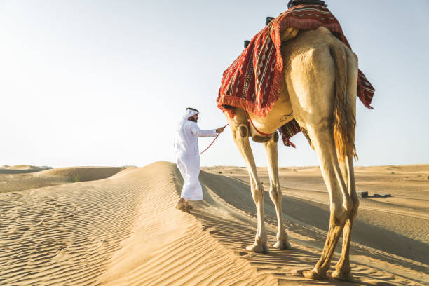 istock Arabian man with camel in the desert 1166640630