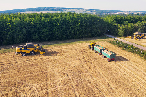 Harvesters harvests wheat on a field - Aerial View