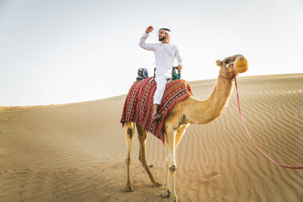 砂漠でラクダを持つアラビア人 - united arab emirates middle eastern ethnicity men camel ストックフォトと画像