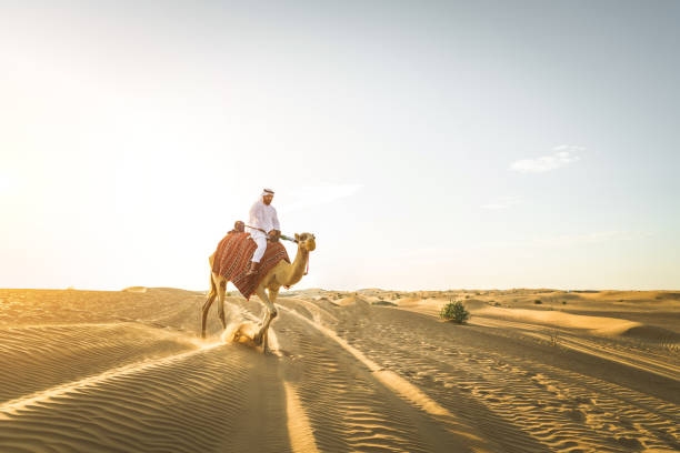 砂漠でラクダを持つアラビア人 - united arab emirates middle eastern ethnicity men camel ストックフォトと画像