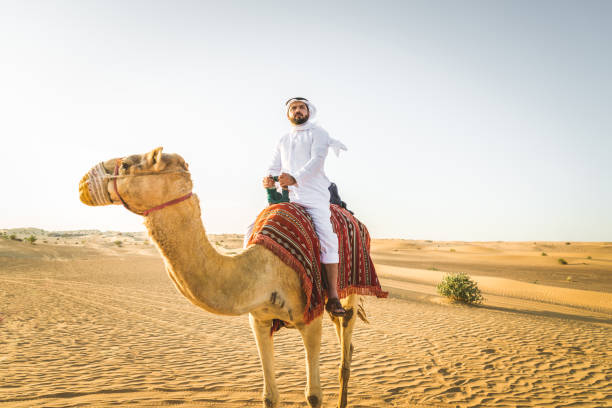 砂漠でラクダを持つアラビア人 - united arab emirates middle eastern ethnicity men camel ストックフォトと画像