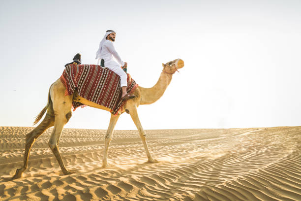 istock Arabian man with camel in the desert 1166641067