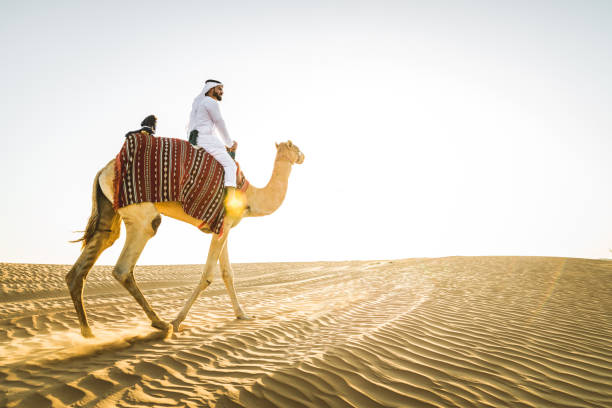 istock Arabian man with camel in the desert 1166641084