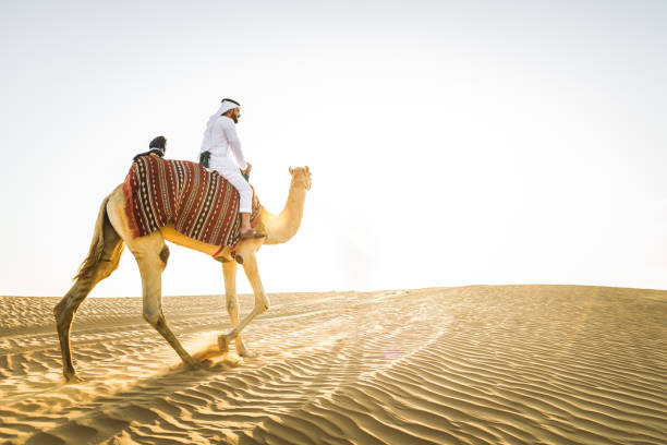 istock Arabian man with camel in the desert 1166641124