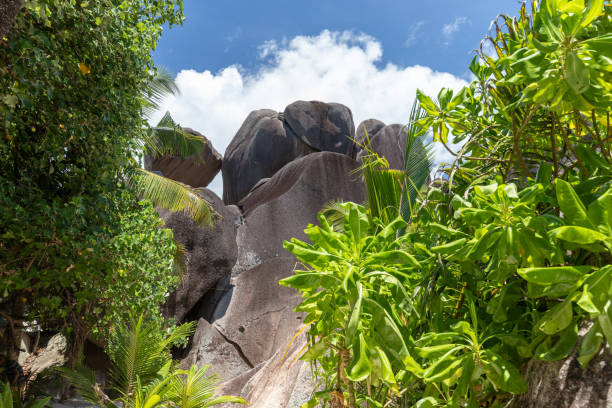 anse marron, marron beach at la digue island, seychelles islands.