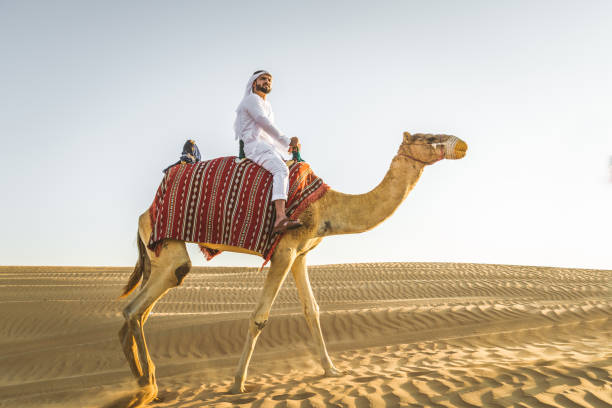 砂漠でラクダを持つアラビア人 - united arab emirates middle eastern ethnicity men camel ストックフォトと画像