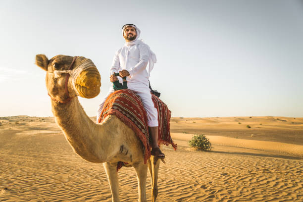 砂漠でラクダを持つアラビア人 - united arab emirates middle eastern ethnicity men camel ストックフォトと画像