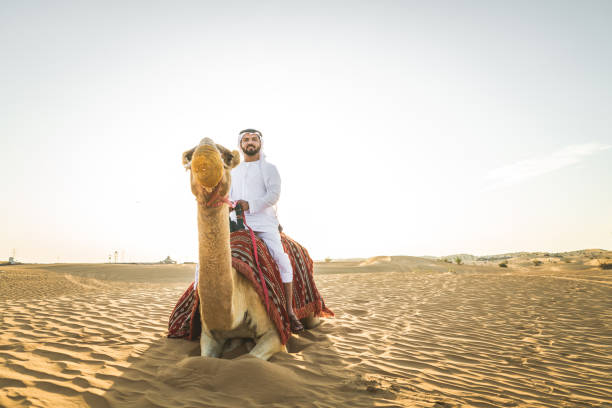 砂漠でラクダを持つアラビア人 - united arab emirates middle eastern ethnicity men camel ストックフォトと画像