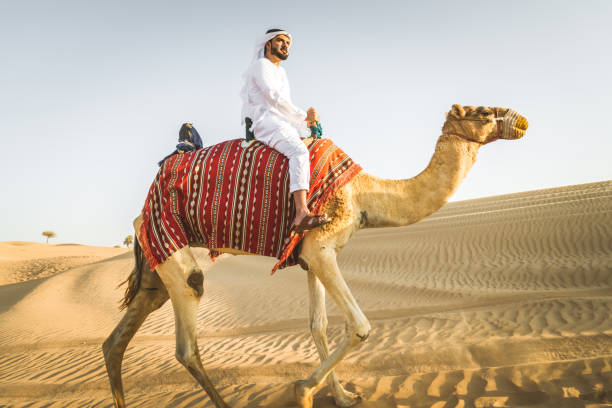 istock Arabian man with camel in the desert 1166642009