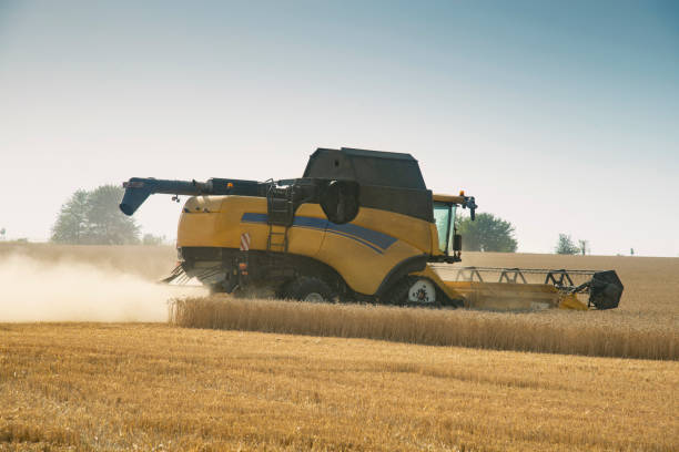 istock Harvester harvests wheat on a field 1166642573