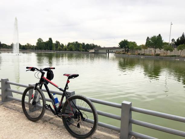 istock Bicycle in the Park Juan Carlos I 1166643149