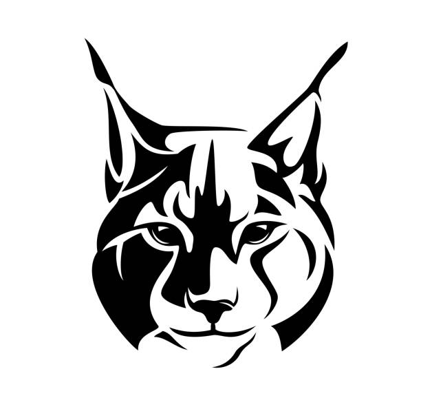 wild lynx cat black vector en face head outline wild lynx looking straight forward - bobcat en face head black and white vector design wildcat animal stock illustrations