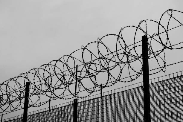 Black and white image of a fence with barbed wire - a concept of prison, imprisonment Imprisonment is the act of taking away someone's freedom, though this does not always mean that the person is physically locked up in a jail cell. criminal activity stock pictures, royalty-free photos & images