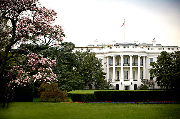 a casa branca - us state department fotos imagens e fotografias de stock