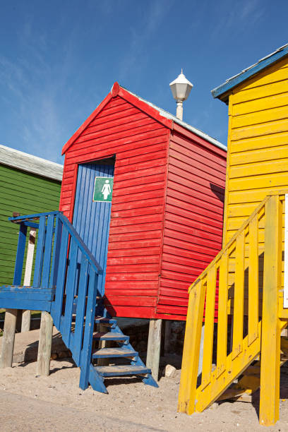 istock colored cabins on the beach in south africa 1166649931