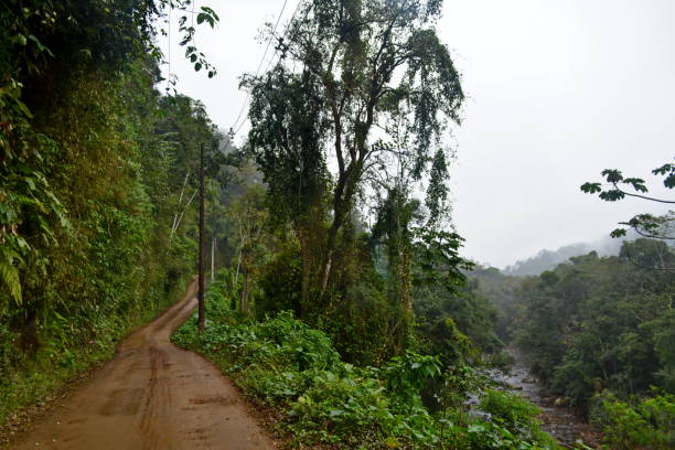 istock Dirt Road Inland 1166650644