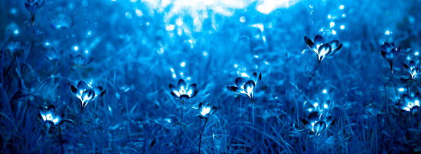 istock Magic white flowers with luminous pollen 1166651022