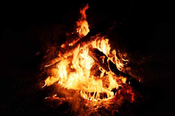 istock Burning beautiful bonfire on a black night background 1166653555