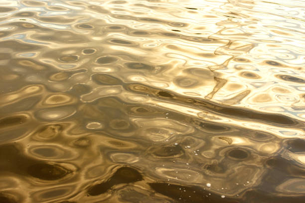 ondulação do rio, lago, oceano, mar, lagoa, associação. o dourado, amarelo, ouro, cor amarela da água. - liquid plasma water abstract - fotografias e filmes do acervo