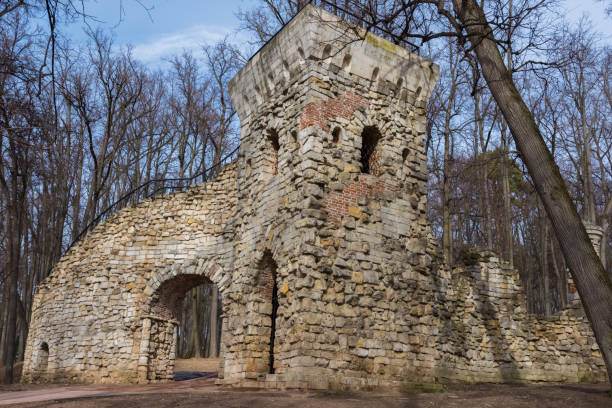 Zarizyno Park Fotos Bilder und Stockfotos iStock