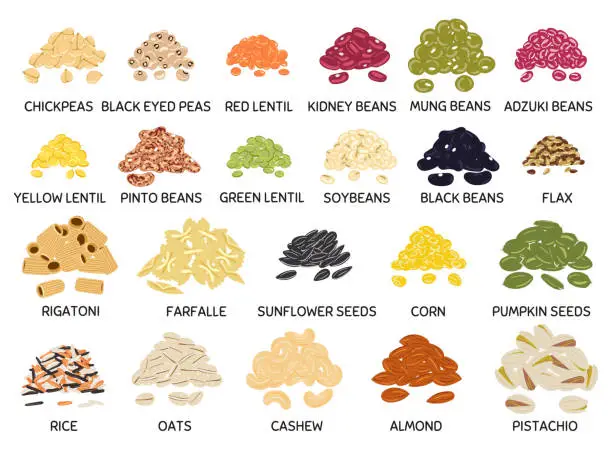 Vector illustration of Set of hand drawn vector handful of beans, legumes, seeds and nuts