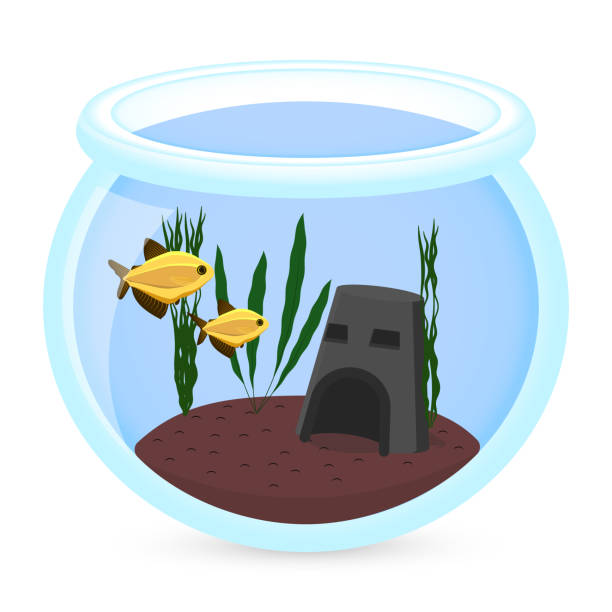 istock Vector aquarium fish silhouette illustration with water, seaweed. Colorful cartoon flat aquarium marine pet for your design 1166668971