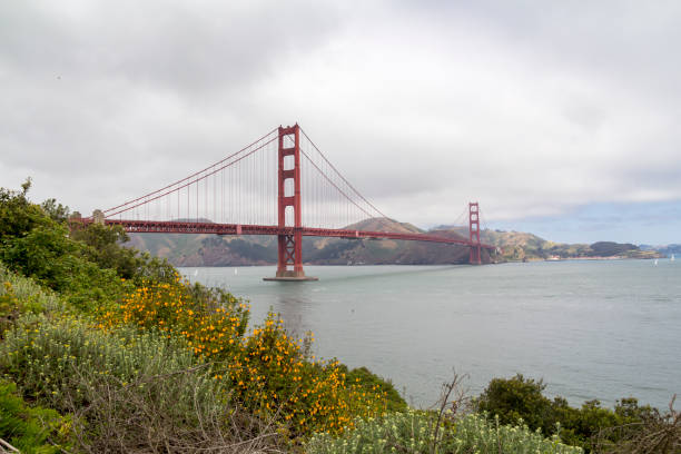 istock The Golden Gate bridge in San Francisco bay 1166670185