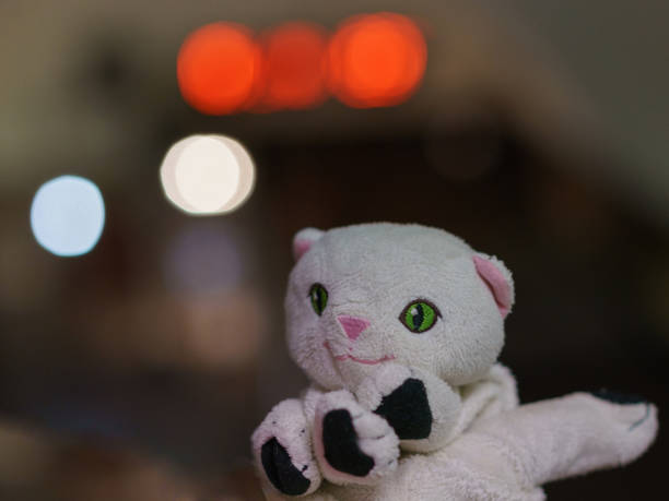 istock White toy kitten on the blurred city background . 1166670775