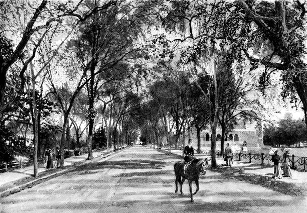 A street lined with elm trees in Cambridge, Massachusetts, USA. Vintage etching circa late 19th century.