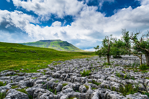 Ingleborough mountain, one of the iconic Three Peaks of Yorkshire. Yorkshire Dales National Park