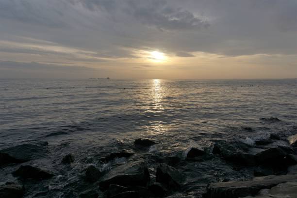 istock Container cargo ships waiting near the coastline to move. 1166676648