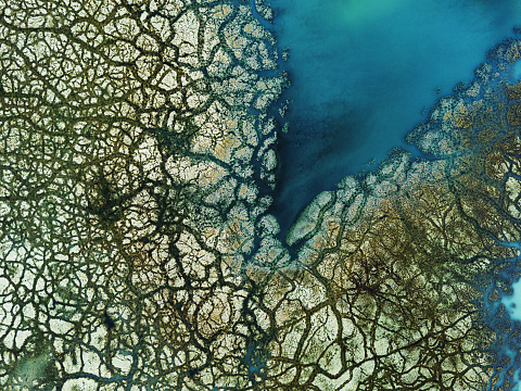 Aerial view of high mineral content wetland with dead moss.