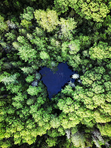 Aerial view of a heart-shaped pond.