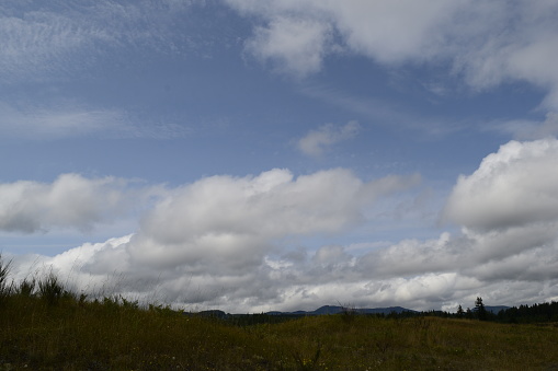 Near Littlerock, Washington, USA