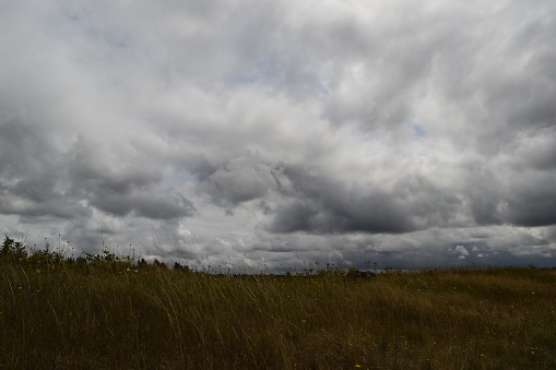 Near Littlerock, Washington, USA