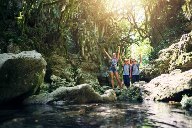 istock Family hiking in beautiful nature 1166680231