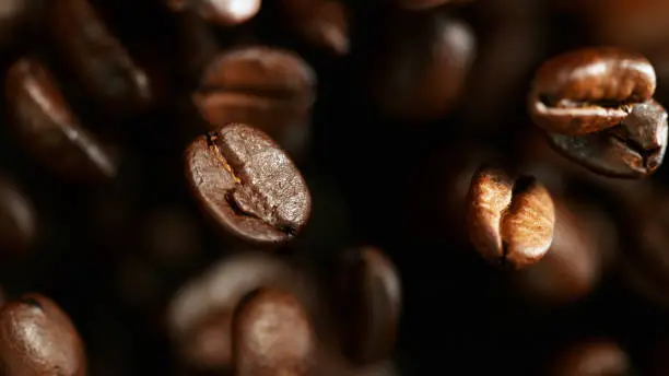 Fresh roasted coffee beans flying in the air, macro photo.