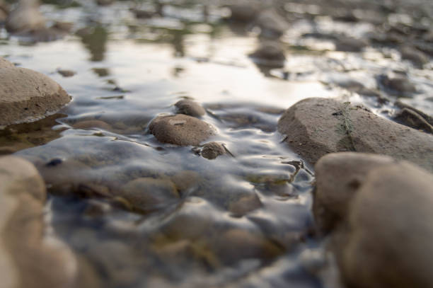 istock Stones in the water. 1166683697
