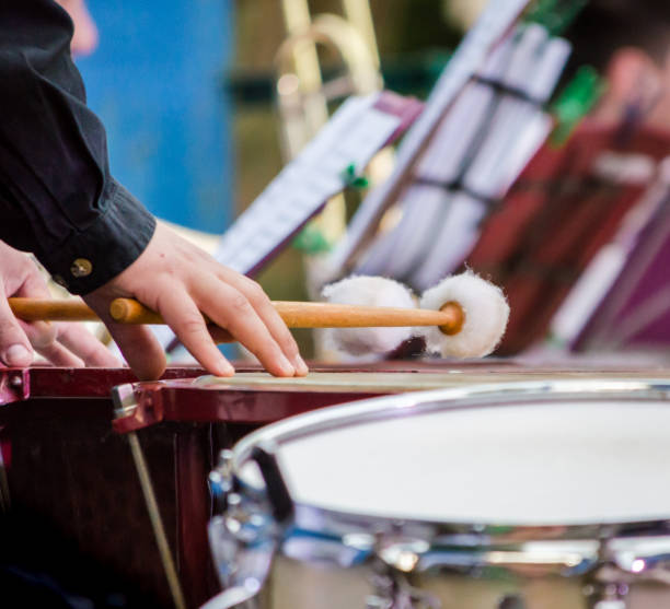 istock male musician drummer hands with drumsticks and drum close up 1166686327