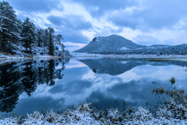 lagos dos carneiros-uma opinião nevado da noite da mola da montanha dos cervos que reflete em lagos calmos dos carneiros no parque nacional da montanha rochosa, colorado, eua. - rocky mountain sheep - fotografias e filmes do acervo