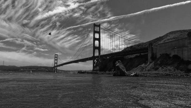 istock Black and White Golden Gate Bridge from Marin 1166689214