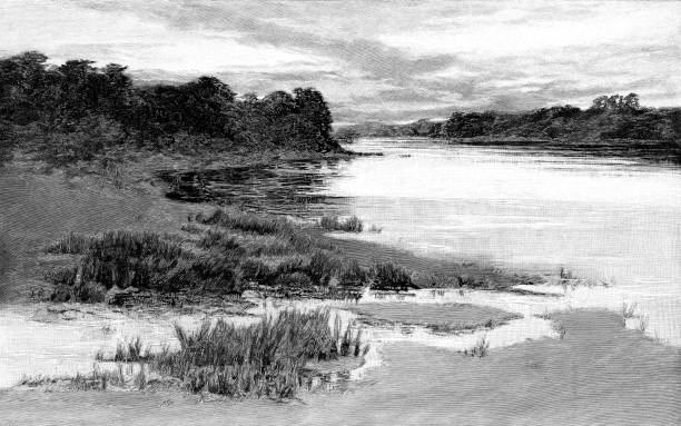 shark river w: new jersey - old fashioned scenics engraving river stock illustrations