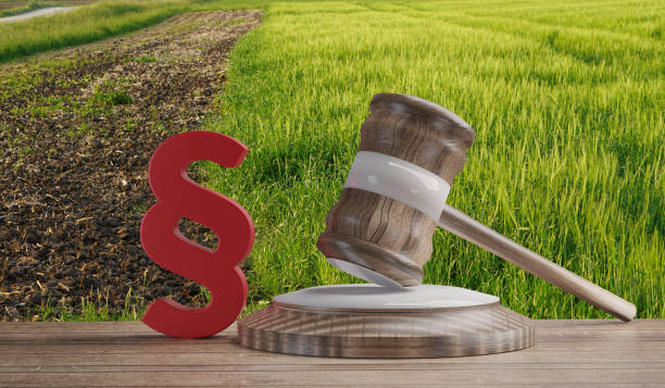 paragraph wooden judge gavel in front of a green field. 3d-illustration stock photo