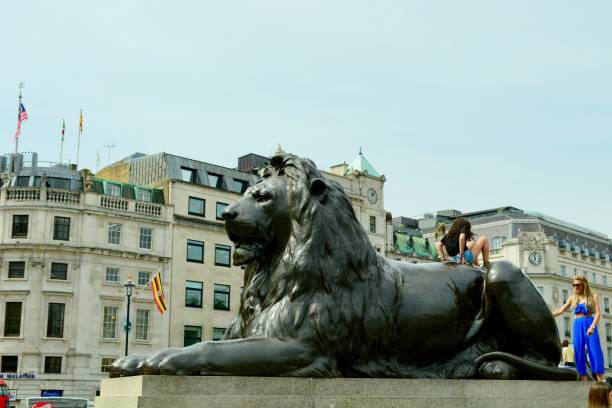 londra. uno dei quattro famosi leoni di trafalgar square, che circonda la colonna di nelson. scultore edwin landseer, le sculture furono posizionate nel 1867 - il monumento di nelson foto e immagini stock