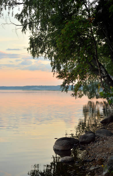istock Coast of lake at summer evening. 1166703240